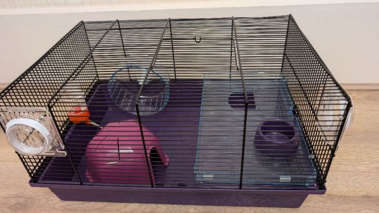 Hamster cage
