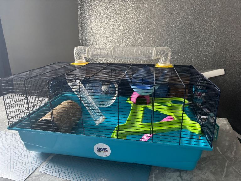 Large gerbil cage 