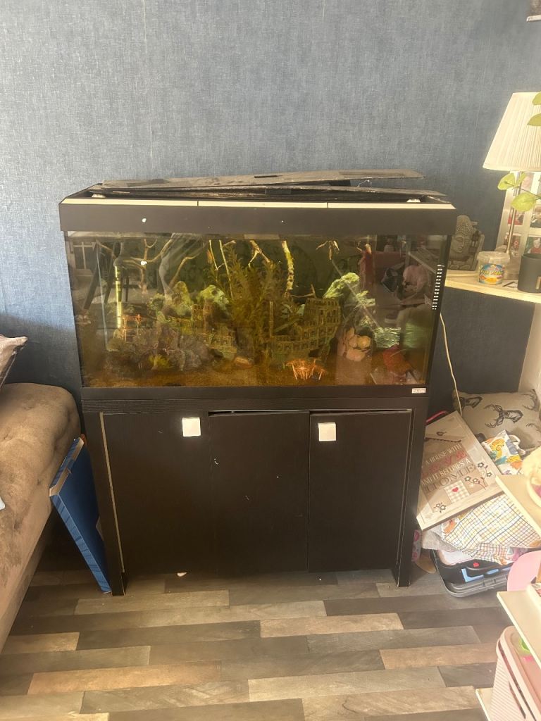 Large Black Fish Tank and Cabinet