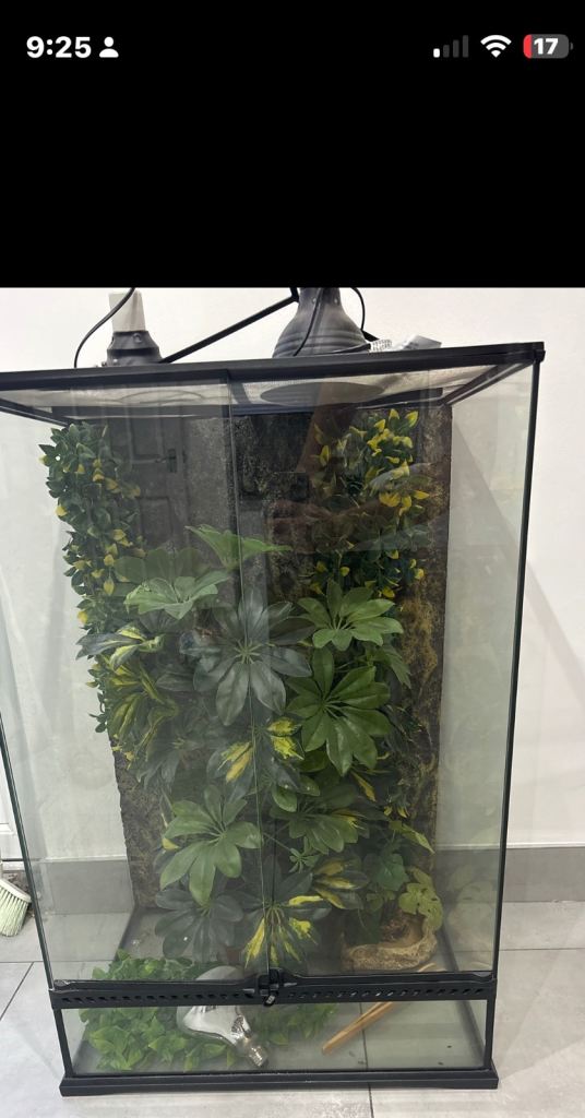 3 ft by 2ft glass exo terra tank 