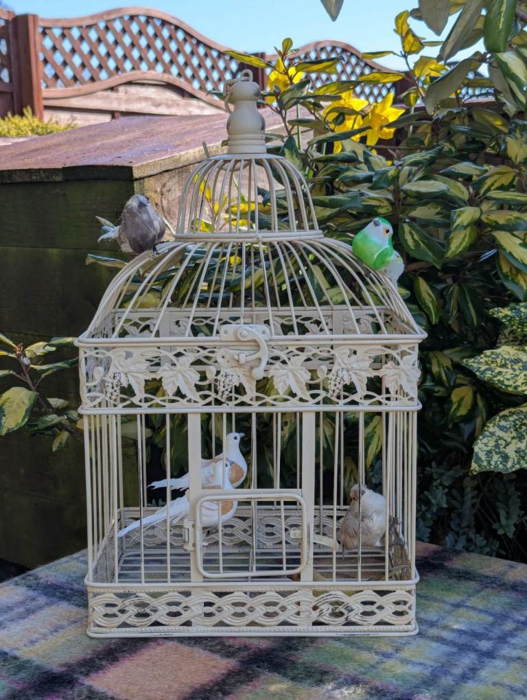 Ornate decorative bird cage