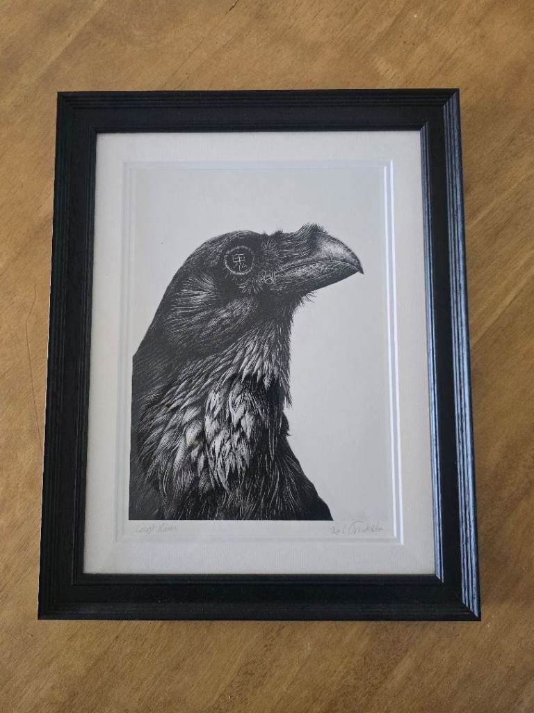 Karl Trewhela Ghost Raven