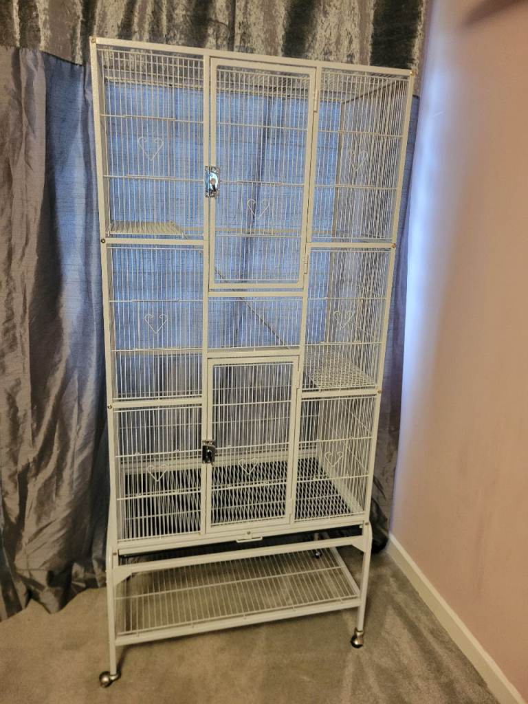 Parrot cage and accessories 