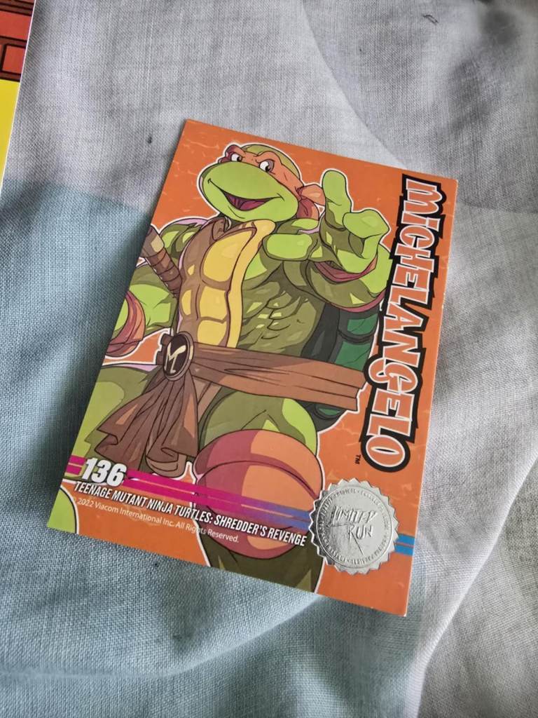 Teenage Mutant Ninja Turtles Shredder's Revenge Radical Edition Xbox BRAND NEW