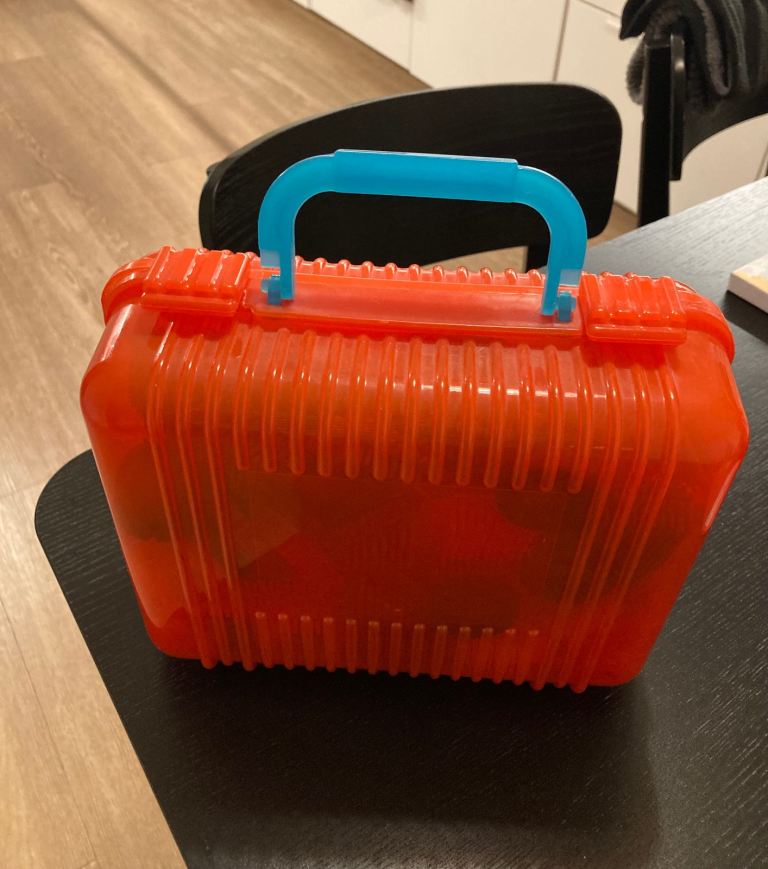 Bristle blocks set in case 