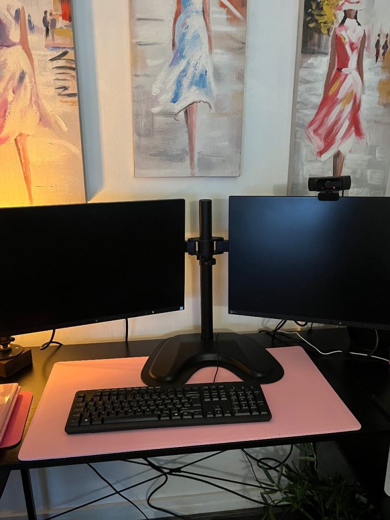 Two screens and stand… 6 months old. 