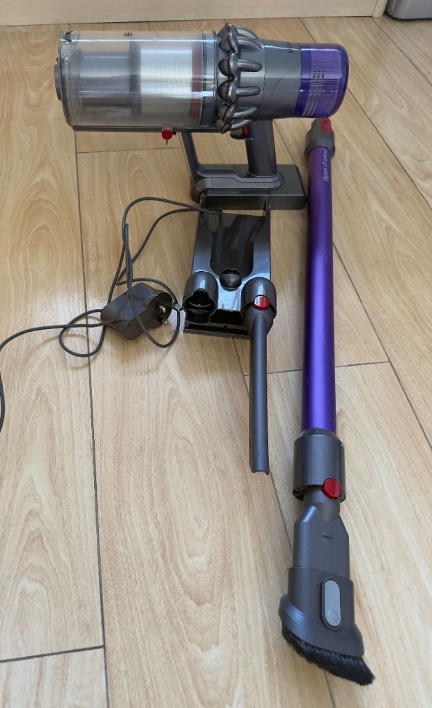 Dyson V11