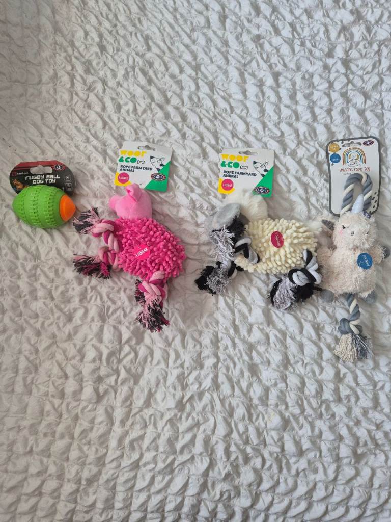 Dog toys 