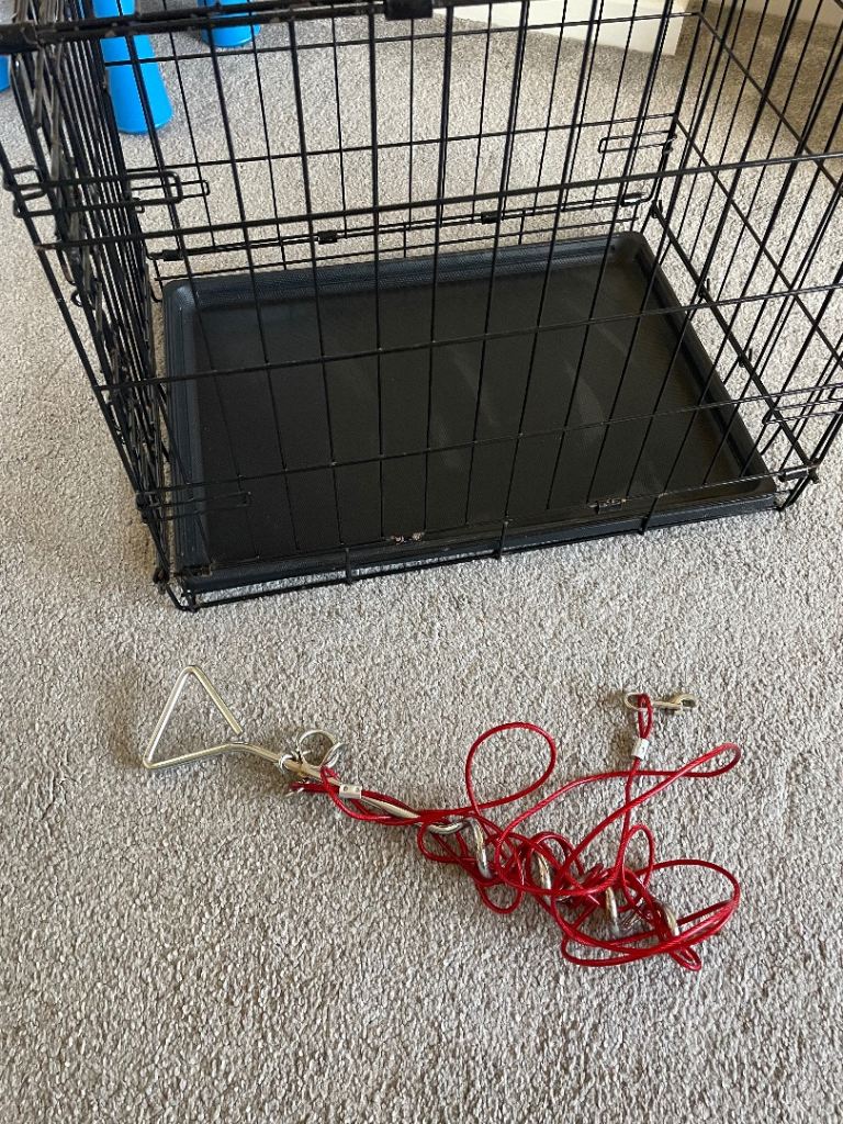 Dog Crate with Removable Tray and Tie-Out Cable