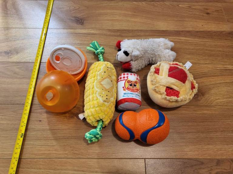 Fun Dog toy puppy bundle and treat dispenser 