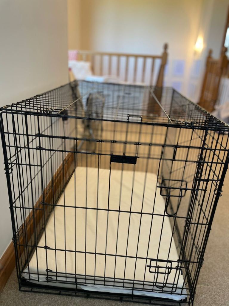 Medium /Large Dig crates -2x for sale 