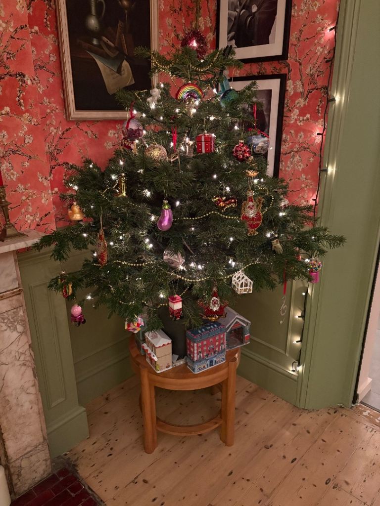 Pot grown Christmas tree (brand new)