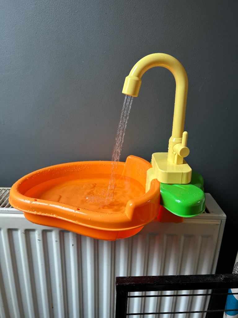 Bird bath and shower 