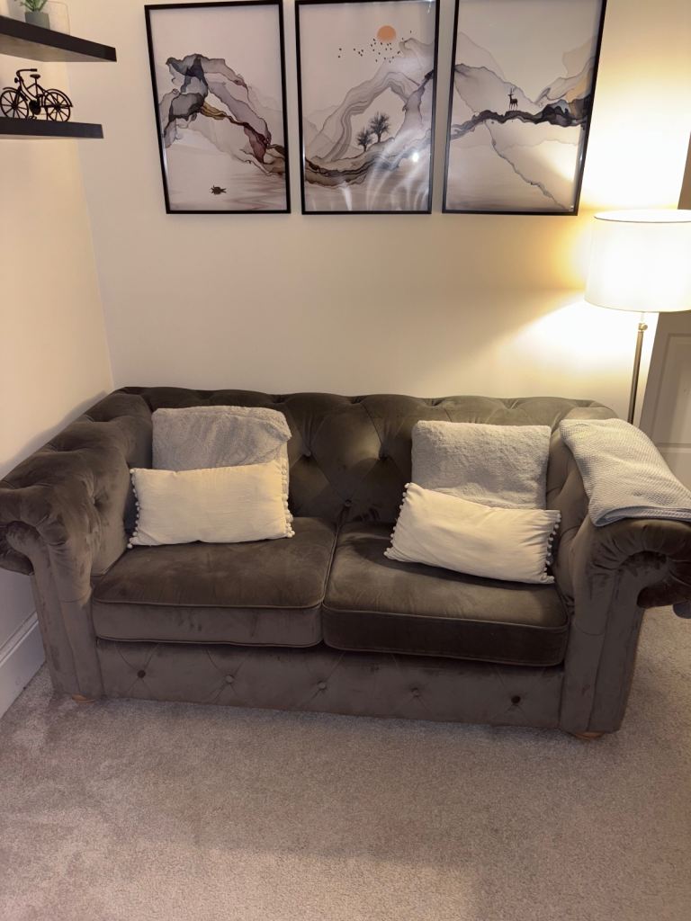 DFS Belair Velvet 2 Seater Sofa