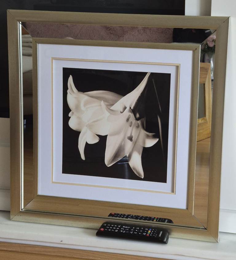 Snowdrop mirrored square picture