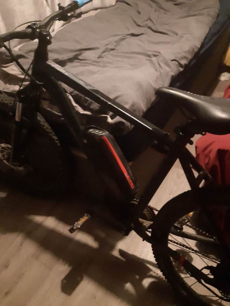 Electric bike 