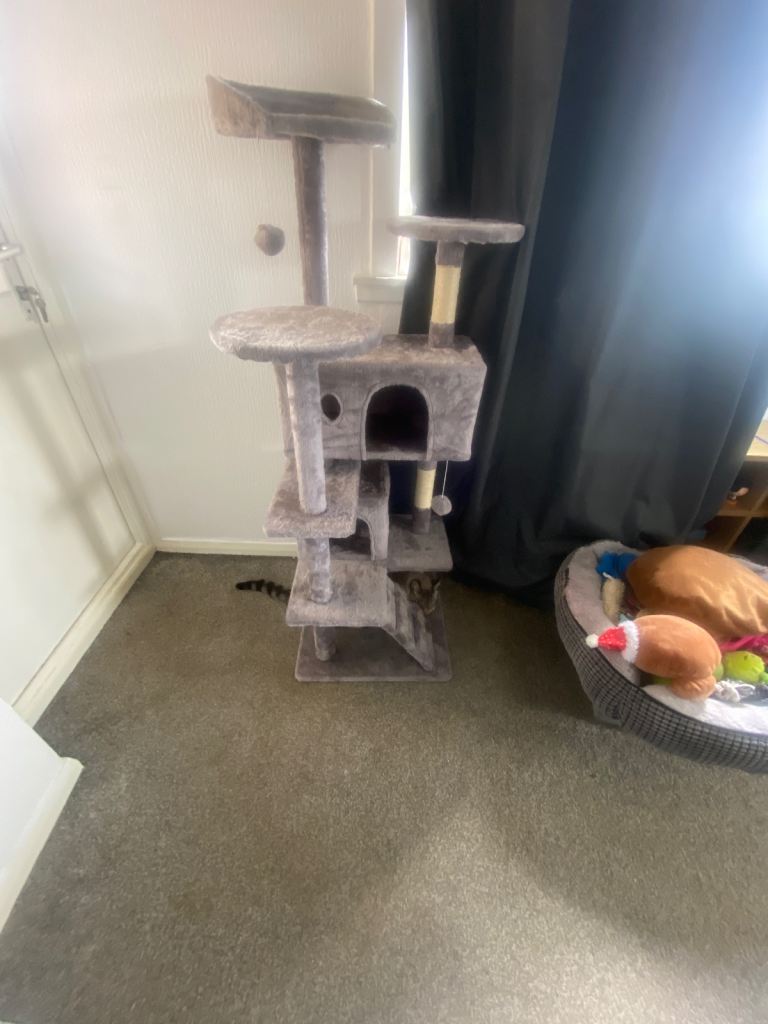 cat tree 