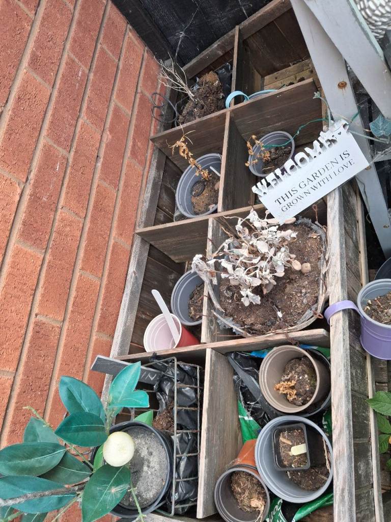 Raised bed planter