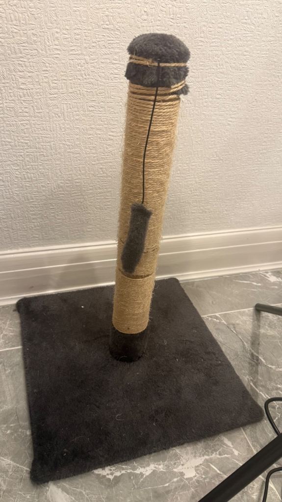 Cat Scratching Post with Toy