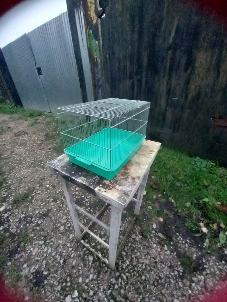 Pet cage