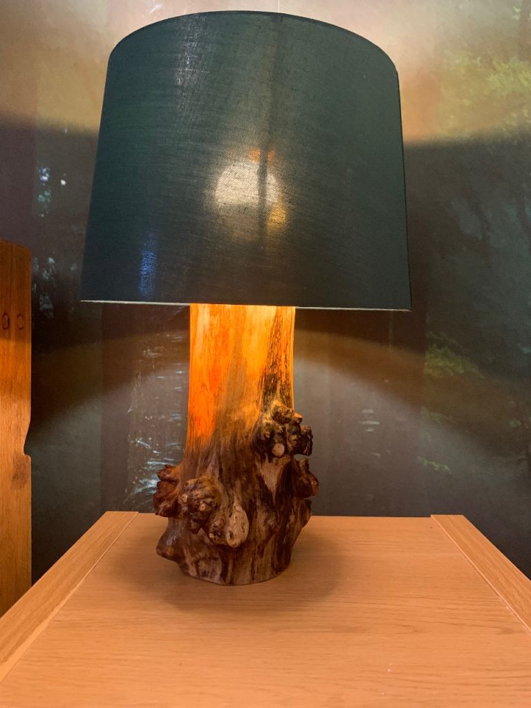 Wooden Log Lamp – Sculptural Natural Wood Base – Handmade – £120