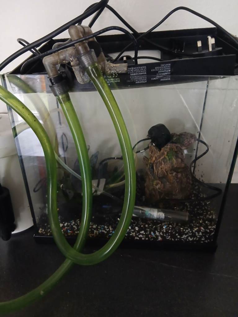 Small Aquarium with External Filter and Pump