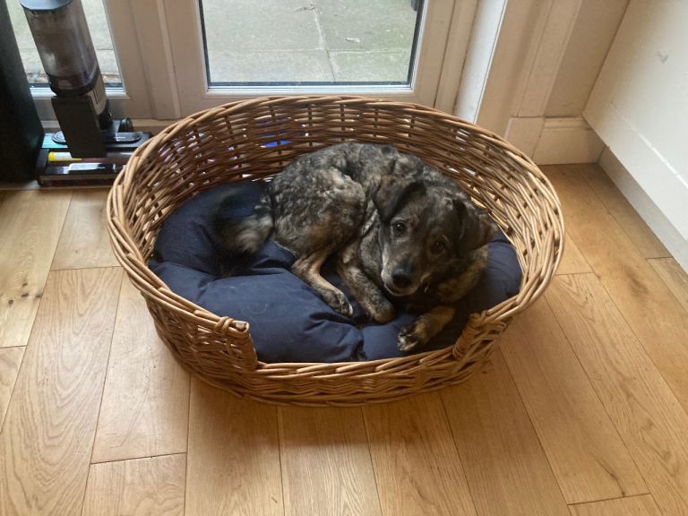 Wicker basket with waterproof cushion