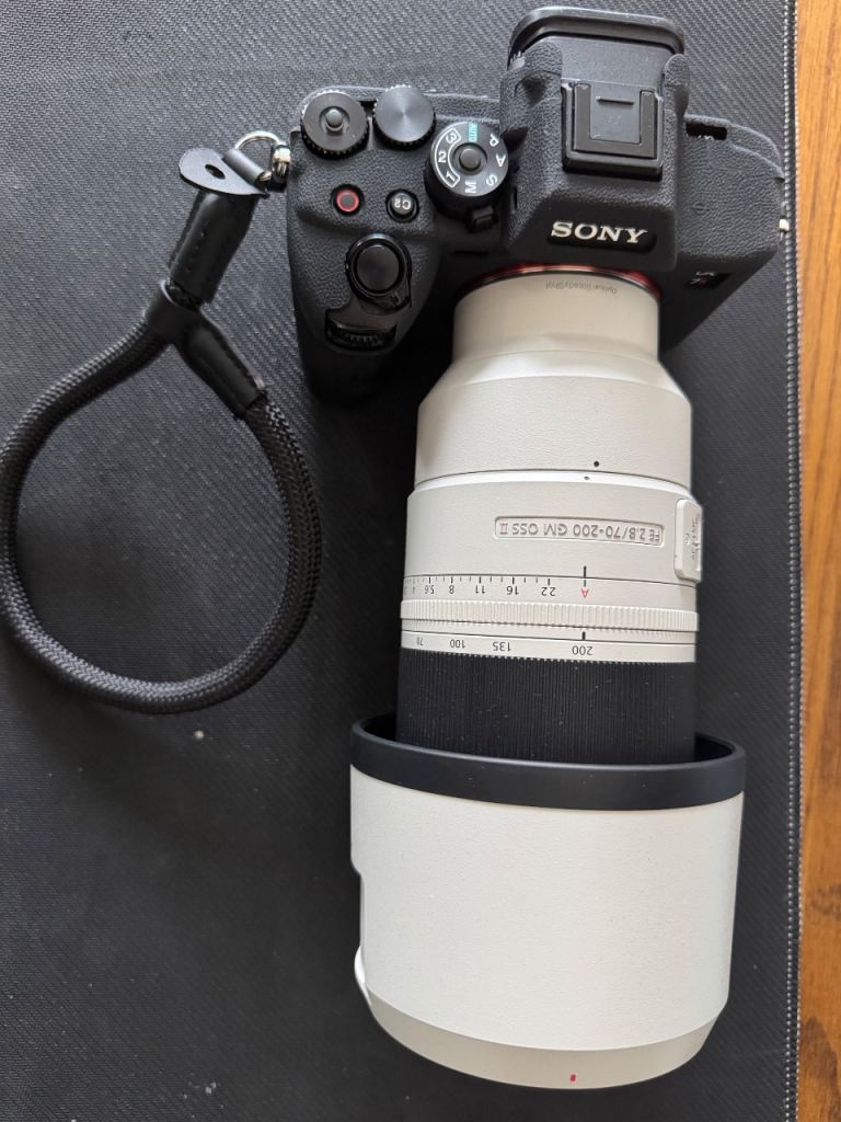 Sony A7rv with Sony 70-200mm f2.8 gmII