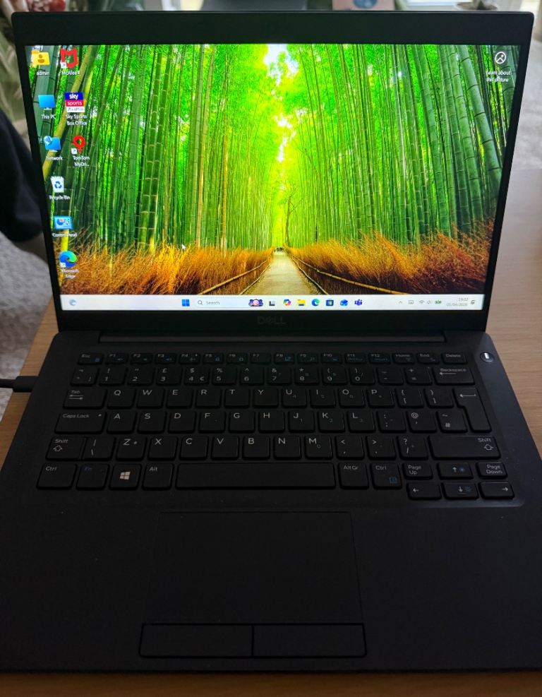 Dell laptop 