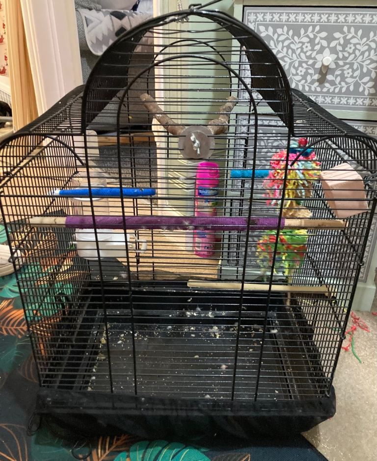 Bird cage black large good condition 