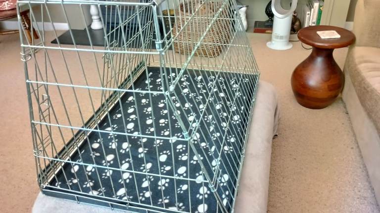 Large 36" Sloped Car Dog Crate
