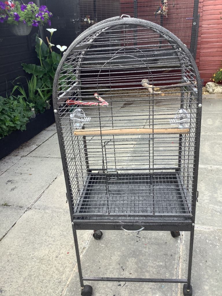 Bird cage