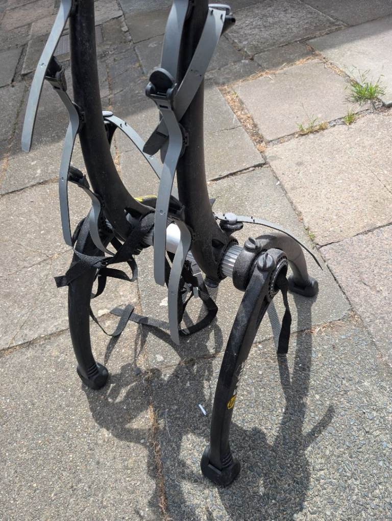 Saris Bones Trunk-Mounted Bike Rack.