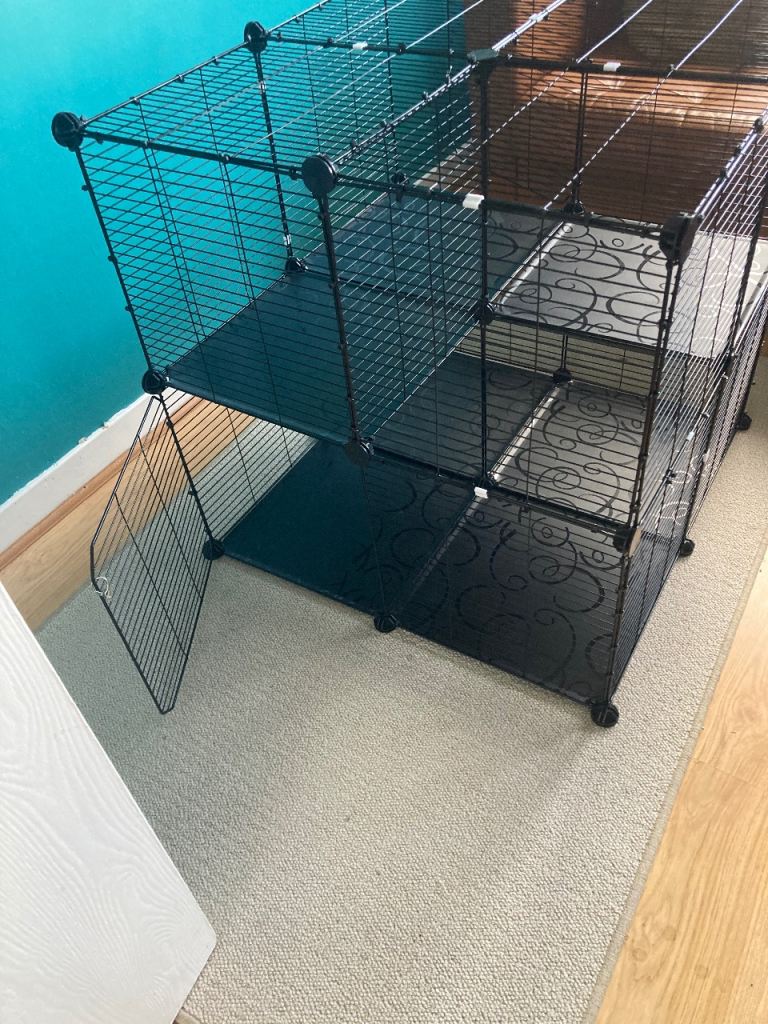 Kitten Puppy cage