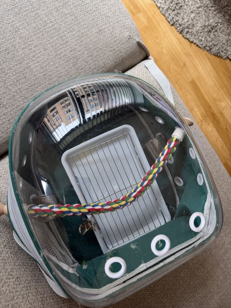 Pet Carrier Backpack – Green, As Good As New