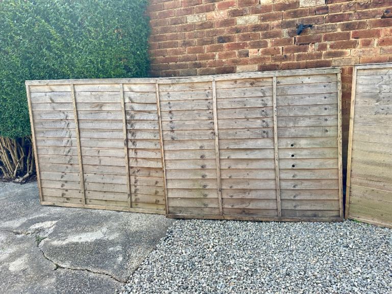 Fence Panels (6ft x 5ft - £10 each)