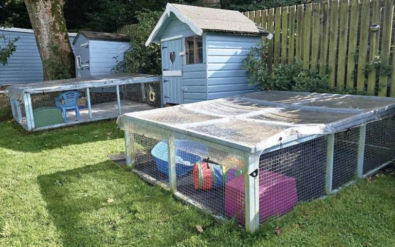 Pet runs ( rabbit guinea pig chicken tortoise )