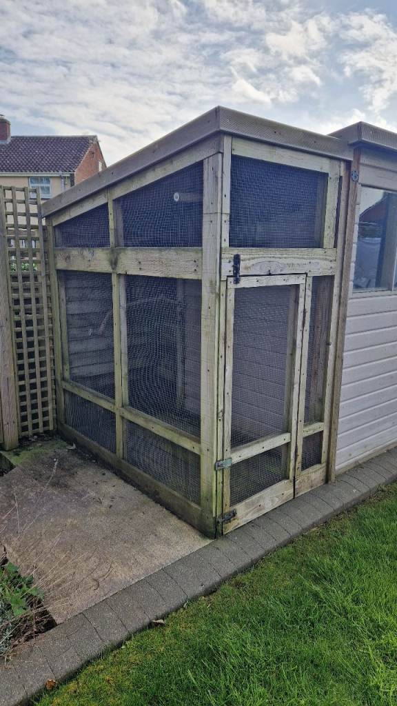 Small avairy and shed