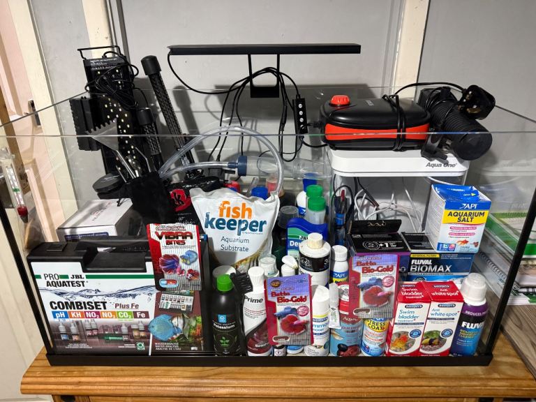 105L fish tank with everything you could need
