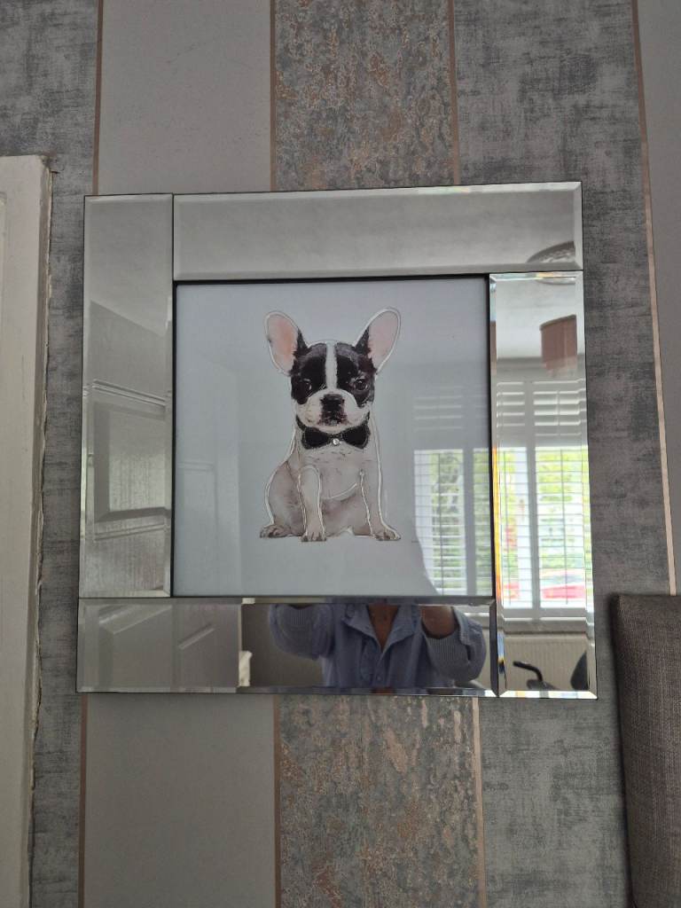 Picture /mirrored french bulldog £60 rrp