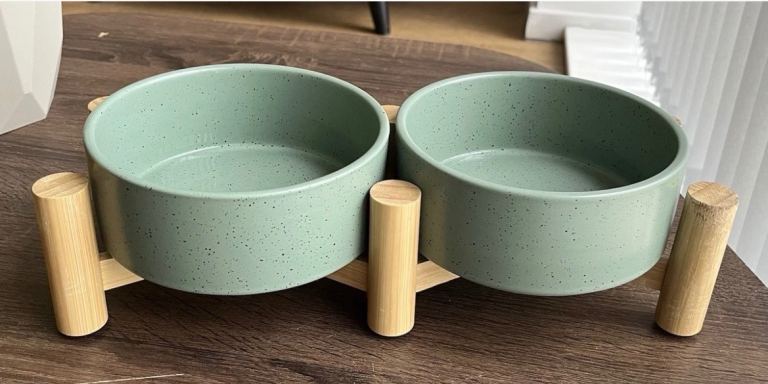 Double dog bowl