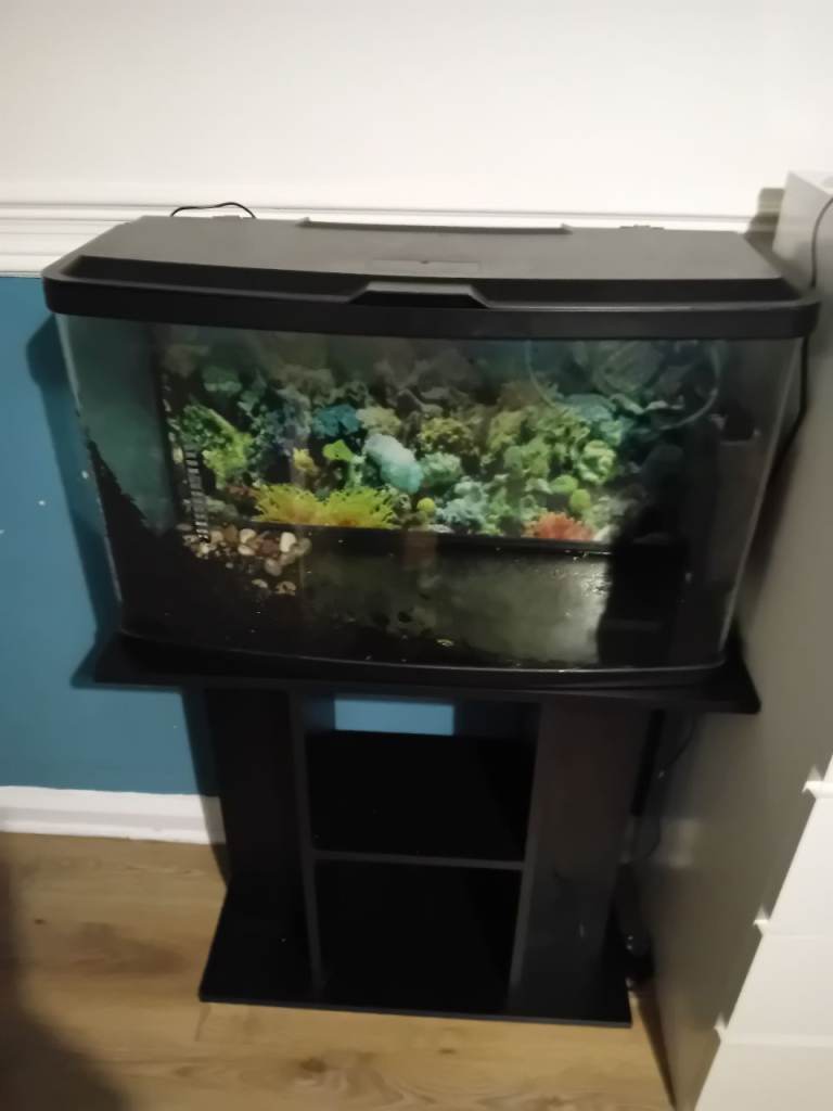 Tropical fish tank 