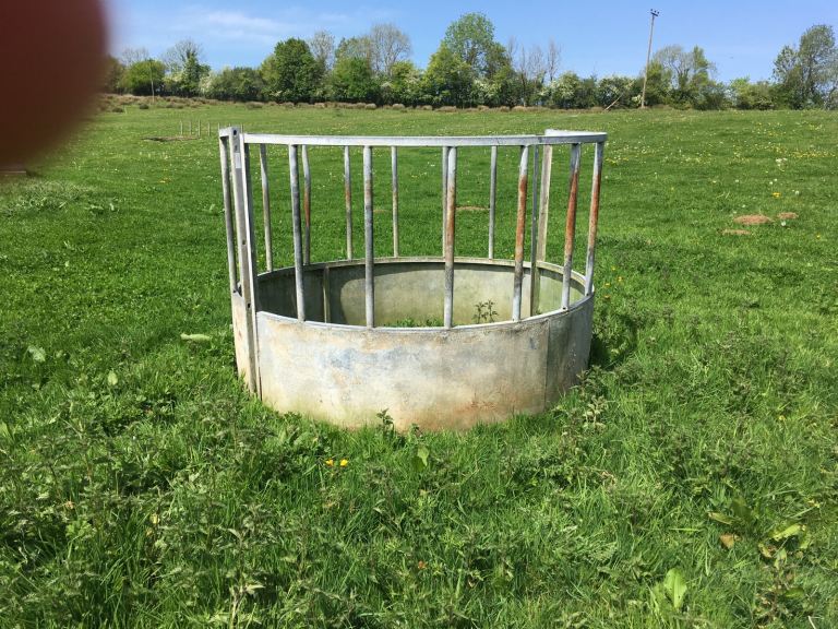 Sheep ring feeder