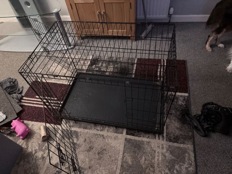 Large dog crate 