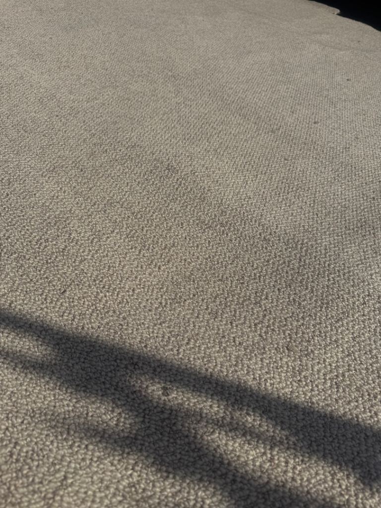 Brand new biscuit colour loop pile carpet 