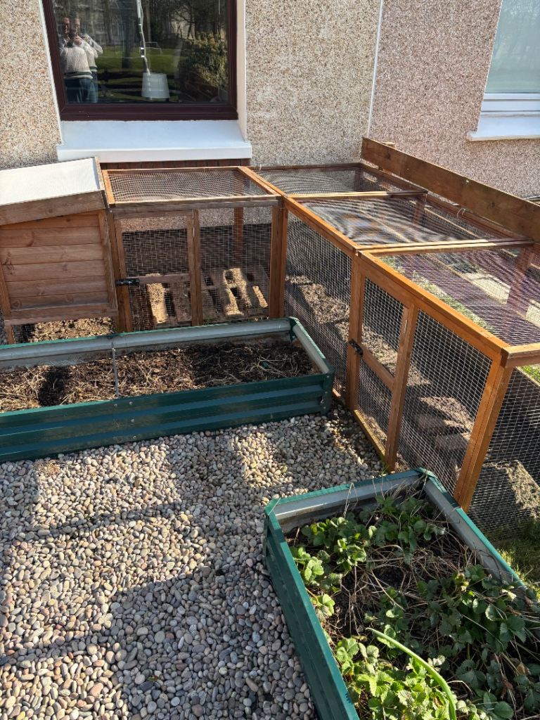 Chicken coop and run