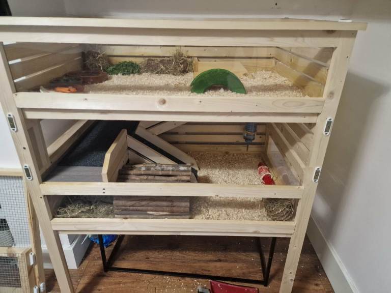 Guinea pig (small animals) two/three story home. 