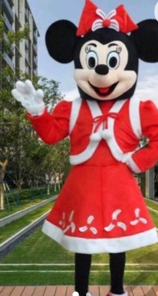 Mickey Mouse,Minnie Mouse and Elf fancydress costume