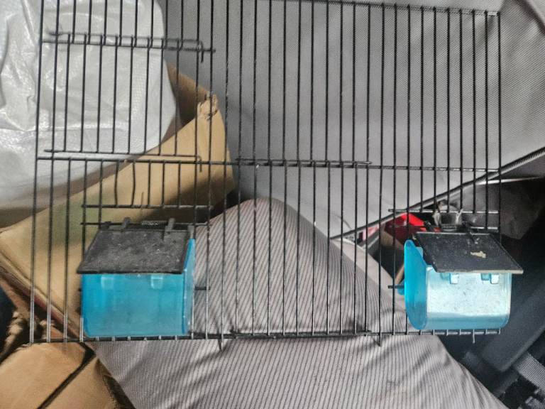 Bird Cage Accessories and Timers