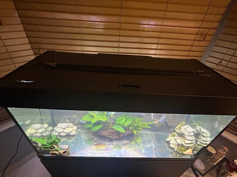 200L / 3.5ft fish tank 